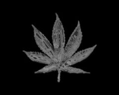 Campionatul Mondial Al Cluburilor