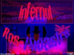 BEST OF THE BEST CHAMPIONS