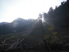 Fair Play Championship