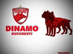 Pentru Dinamo Bucuresti !
