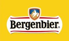 Liga 1 Bergenbier