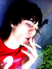 Silviu&#039;s championship