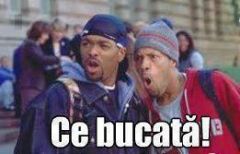 Campionat pe racoare!