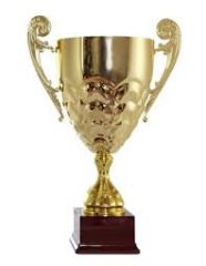 CAMPIONAT DE ELITA-Editie speciala !!!