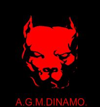 Dinamo