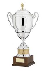 Wiki Championship. Edition  3