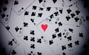 Septica Ed.19